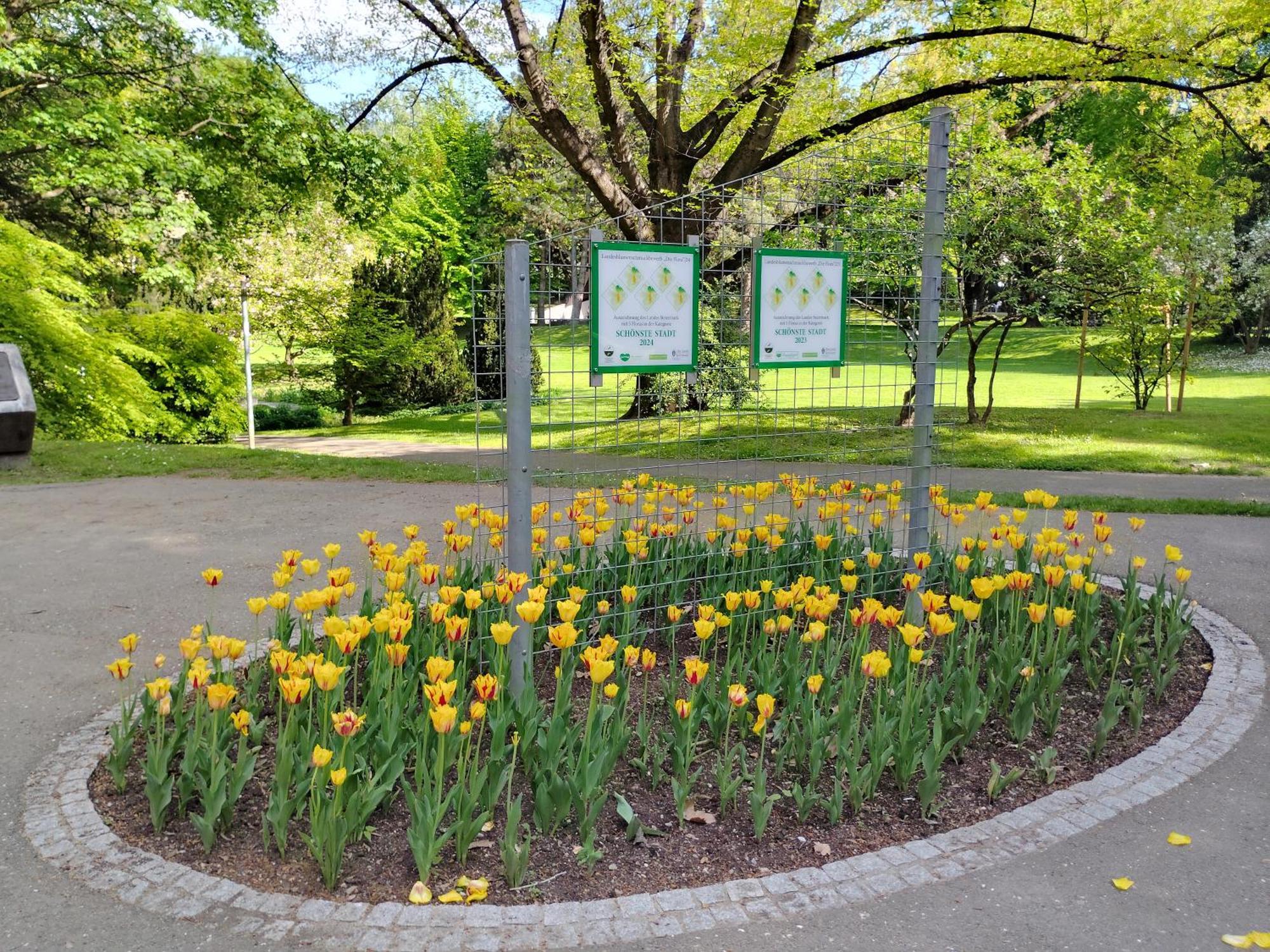 Wohnung In Leoben Zentrum Zwischen Hauptplatz Und Stadtpark Zewnętrze zdjęcie